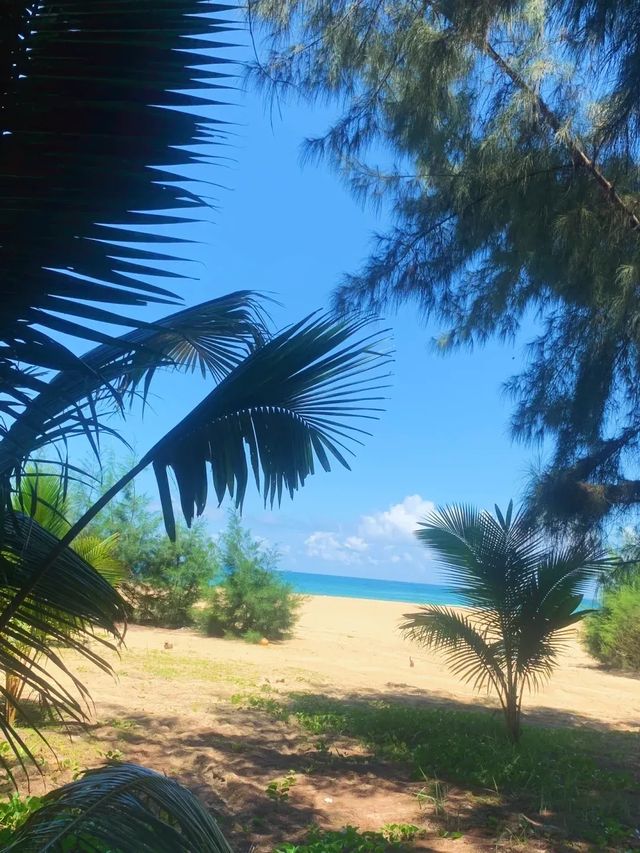 海南最浪漫燈塔萬寧神州半島5大海灣全攻略 海南最浪漫燈塔萬寧神州半島5大海灣全攻略