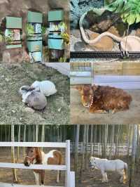 宜興這的秋天 建議去這裡