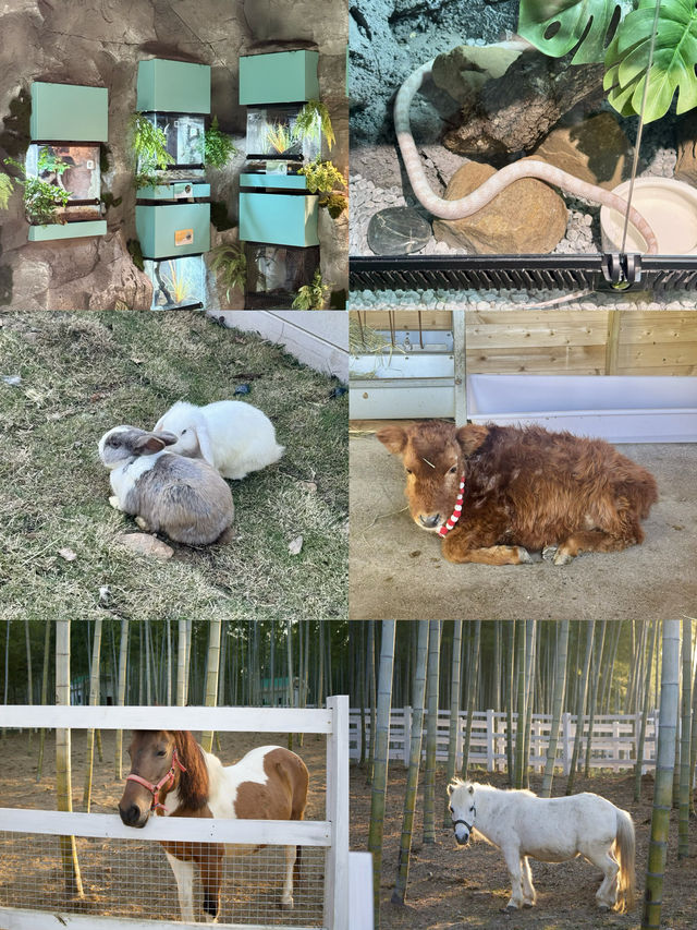 宜興這的秋天 建議去這裡