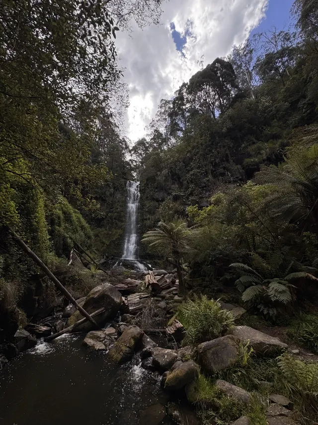 從墨爾本出發2小時🫏牛馬本人體驗退休生活