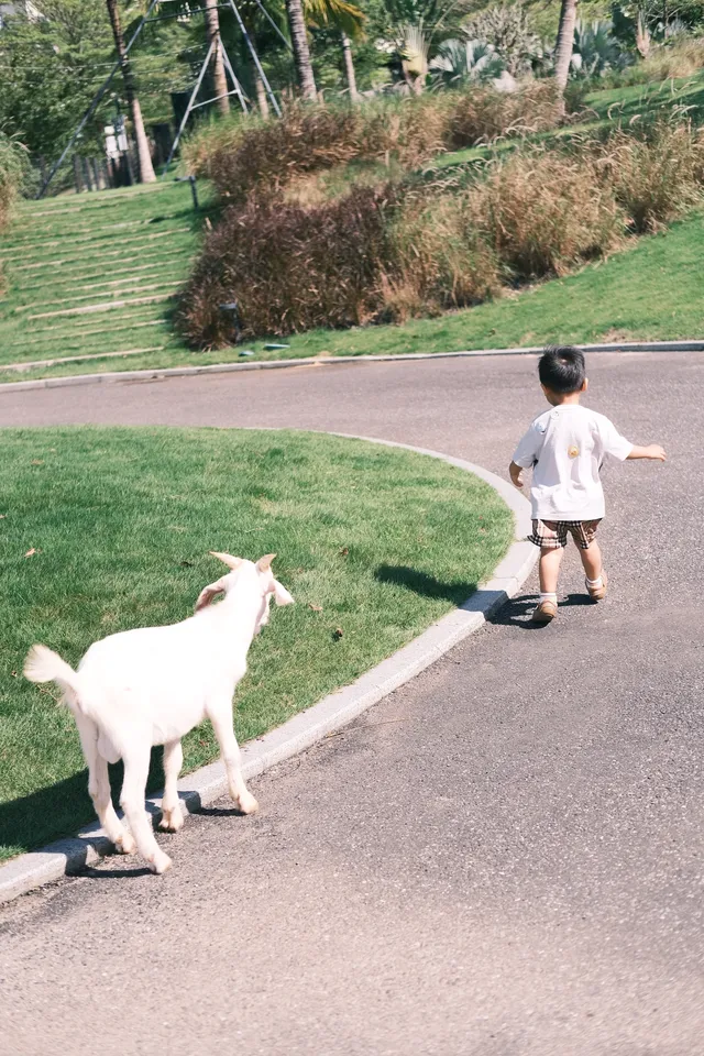 萬寧半日遊 | 打卡超適合小寶寶的牧場