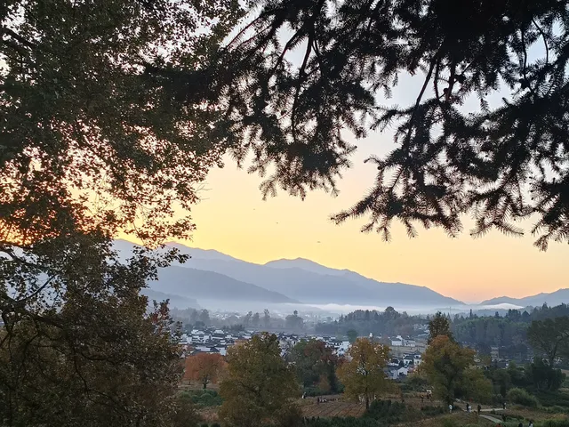 由贛州出發週末遊宏村塔川賞秋保姆級攻略嚟喇