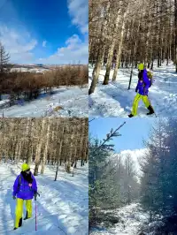 樺皮嶺已回！遊玩攻略已發！評論區有問必答