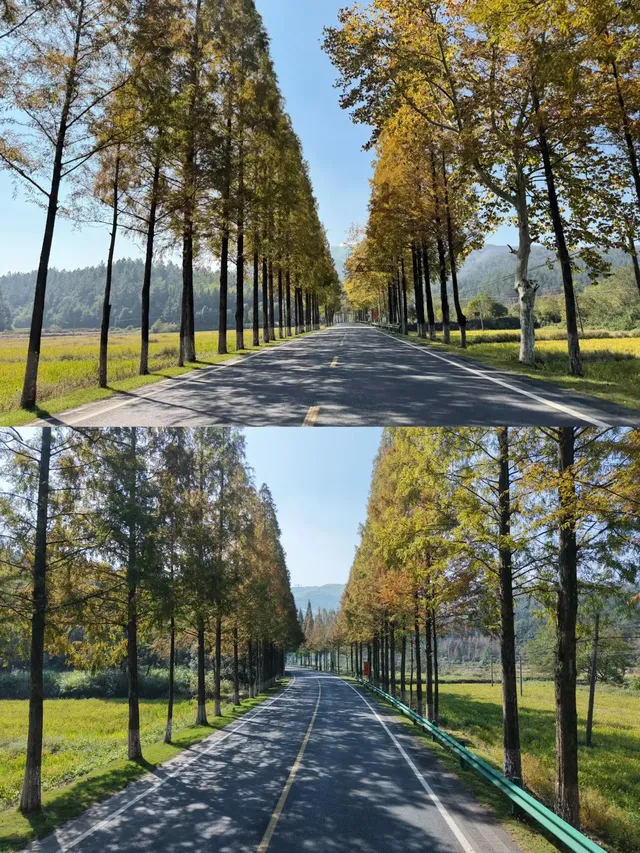 對自己的95號公路自駕遊攻略滿意到睡不著… 對自己的95號公路自駕遊攻略滿意到睡不著…