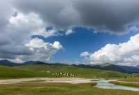 祁連山草原·天境漫遊指南 | 闖入東方瑞士,策馬奔騰在雲端牧場