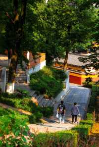 嶽麓書院旁秘徑！長沙秋日打卡天花板