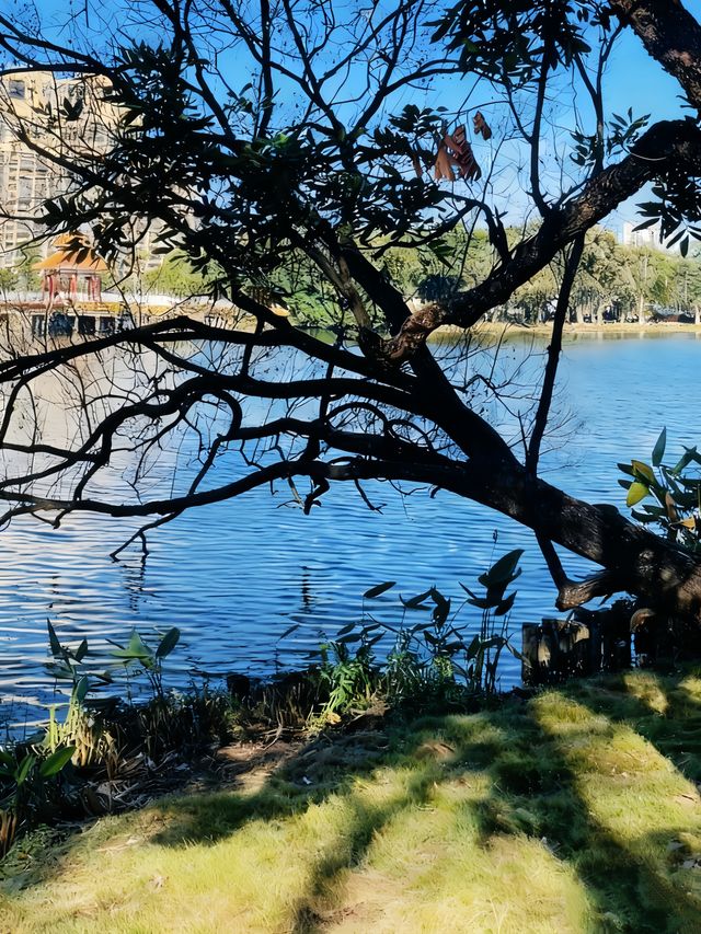 先喊一句:揭陽西湖你還有多少驚喜是我們不知道的! 先喊一句:揭陽西湖你還有多少驚喜是我們不知道的!