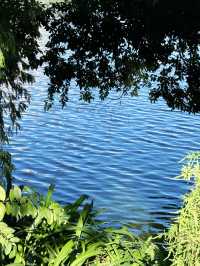 先喊一句:揭陽西湖你還有多少驚喜是我們不知道的!