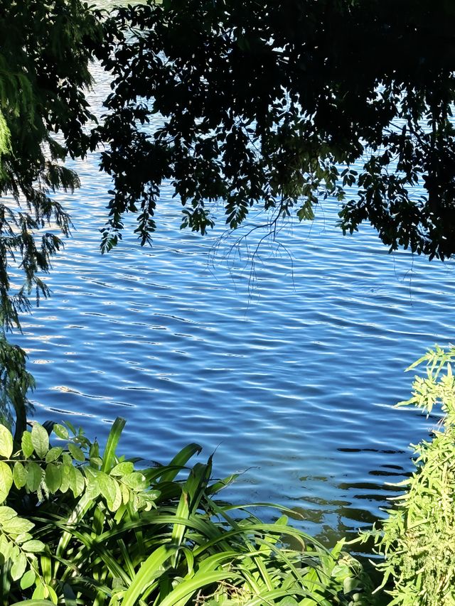 先喊一句:揭陽西湖你還有多少驚喜是我們不知道的! 先喊一句:揭陽西湖你還有多少驚喜是我們不知道的!