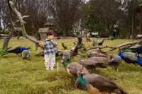 2h直達上海周邊遛娃聖地南通野生動物