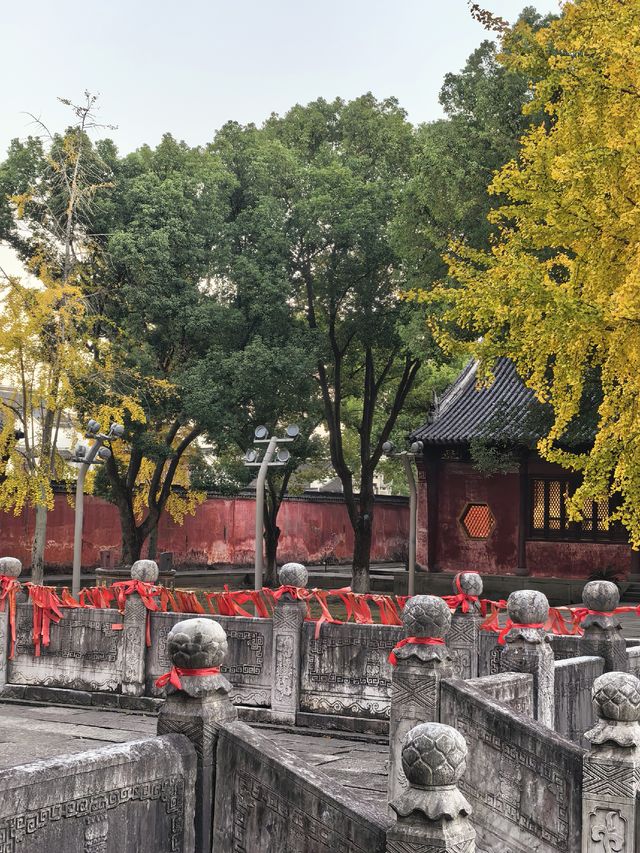 在鹽官,遇見江南最絢爛的深秋 在鹽官,遇見江南最絢爛的深秋