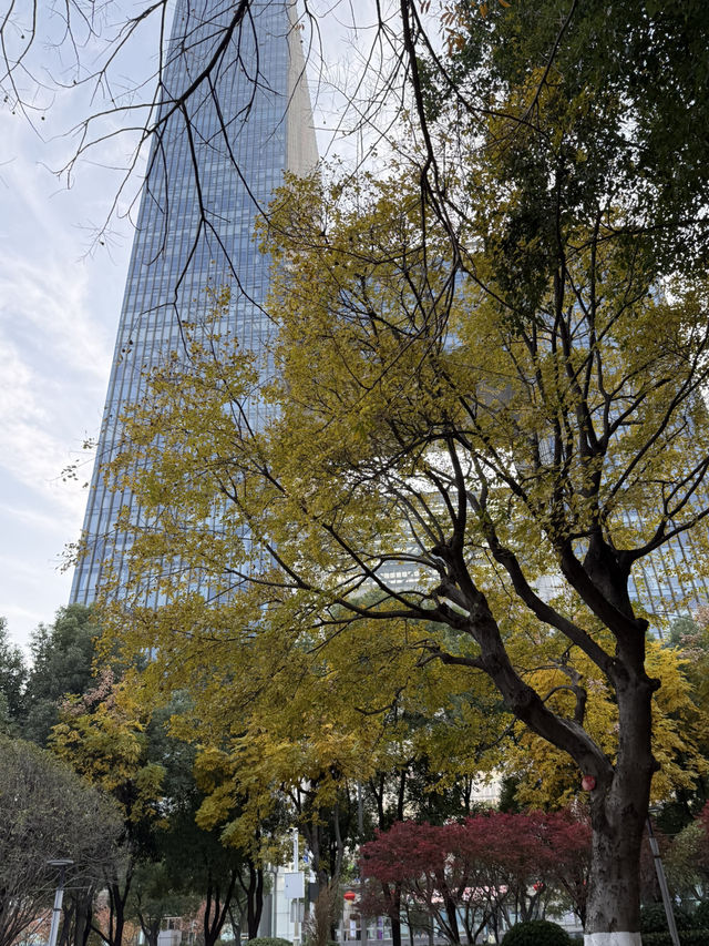 武漢 / 洪山廣場