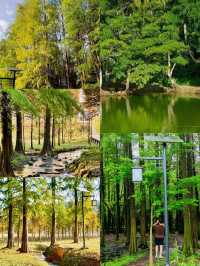 被國家地理點名!惠州大亞灣的“翡翠綠心”有多絕?