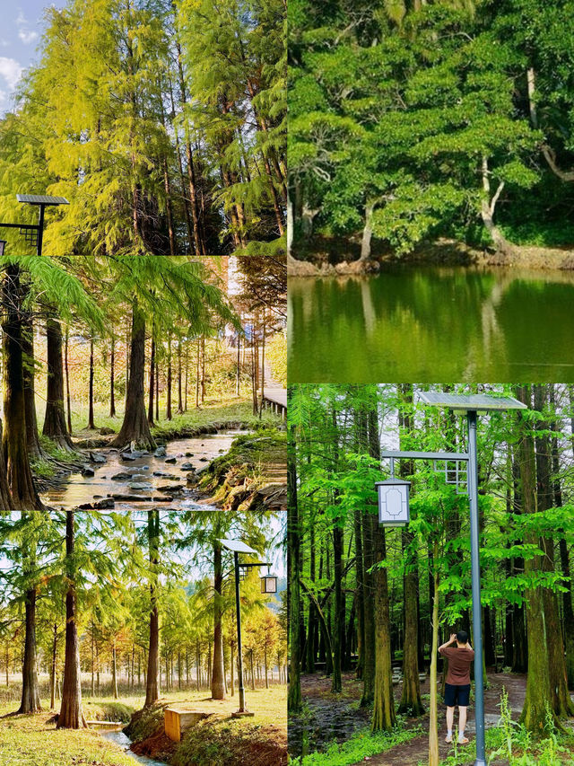 被國家地理點名!惠州大亞灣的“翡翠綠心”有多絕? 被國家地理點名!惠州大亞灣的“翡翠綠心”有多絕?