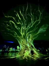 不愧是上海公園美到「未來感」拉滿