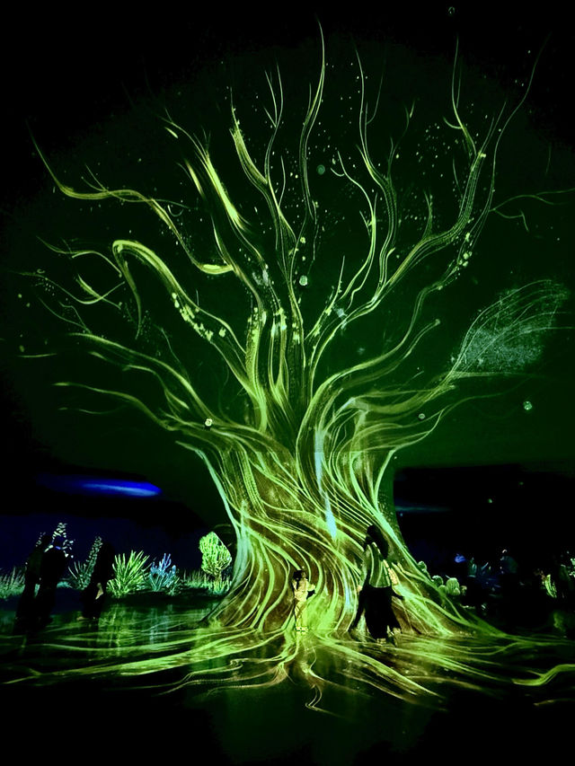 不愧是上海公園美到「未來感」拉滿 不愧是上海公園美到「未來感」拉滿