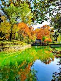 上海也有莫奈的花園