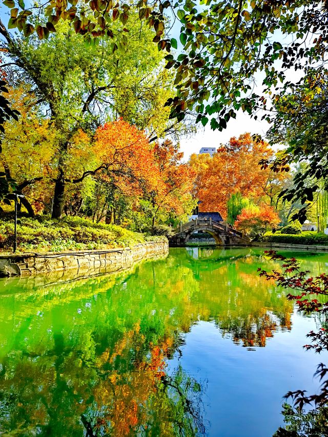 上海也有莫奈的花園 上海也有莫奈的花園