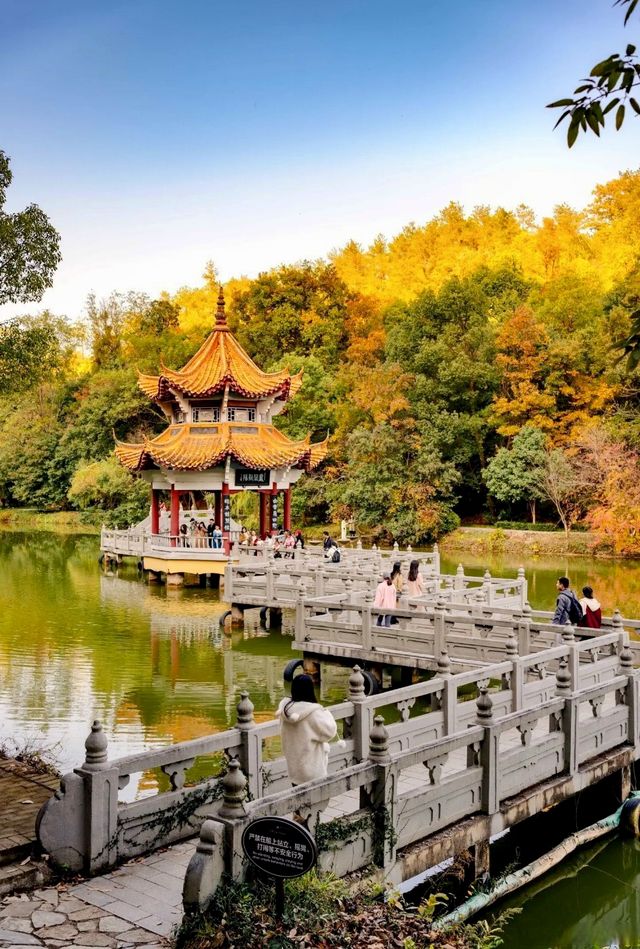 當陽市旅遊攻略