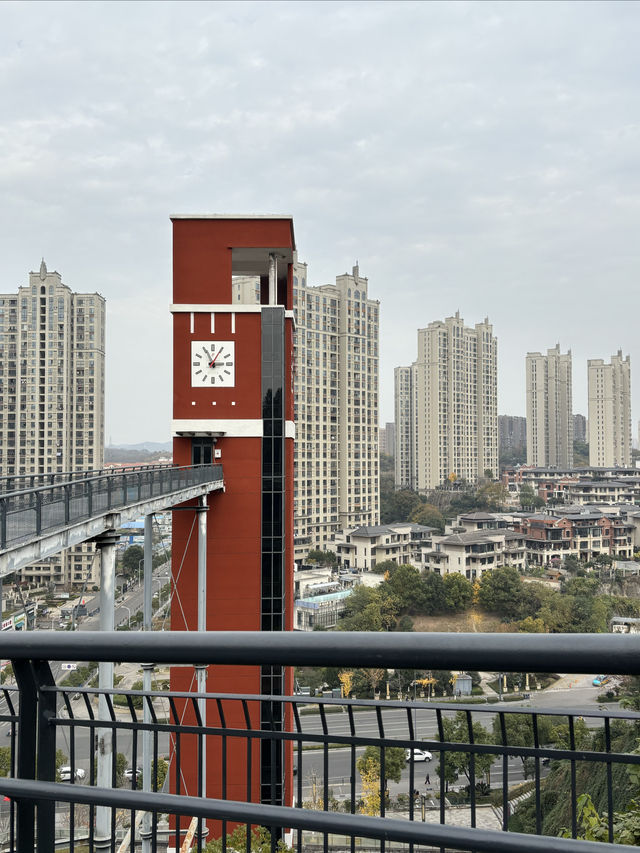 宜昌城東公園漫遊記 | 城市綠肺與長江風情完美結合  這幾天在宜昌發現了一個週末放空的好去處