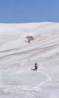 以為夏天的呼倫貝爾夠美了沒想到冬季依舊封神