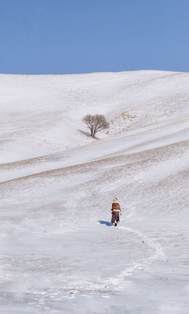 以為夏天的呼倫貝爾夠美了沒想到冬季依舊封神 以為夏天的呼倫貝爾夠美了沒想到冬季依舊封神
