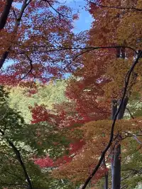 名古屋的秋東山 犬山 真的很好拍~