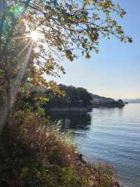 千島湖不登島不進景區直接酒店躺平…