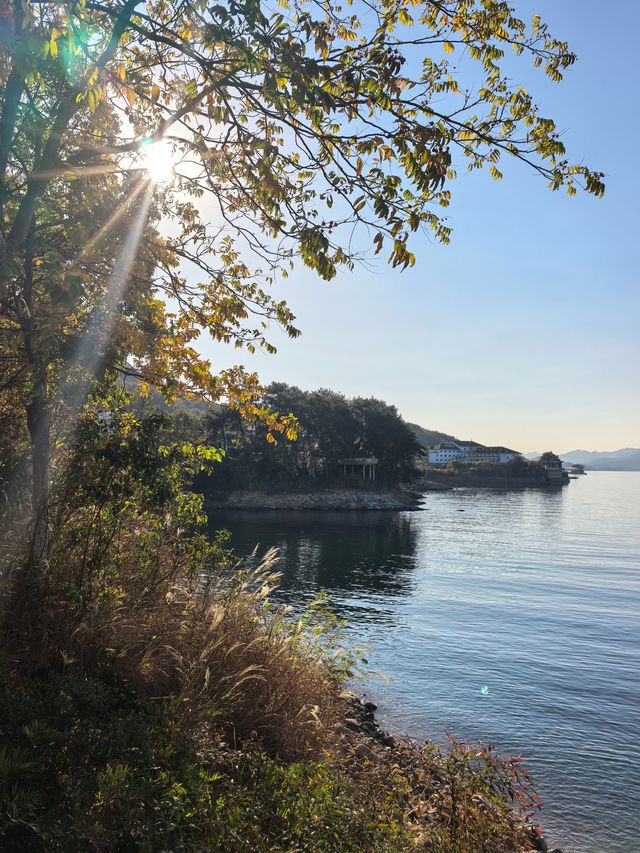 千島湖不登島不進景區直接酒店躺平…