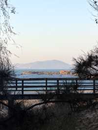 青島冬日Seawalk新路線太平角公園拍照攻略Get!