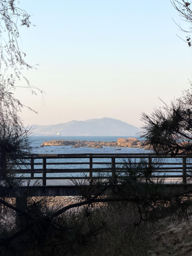 青島冬日Seawalk新路線太平角公園拍照攻略Get! 青島冬日Seawalk新路線太平角公園拍照攻略Get!