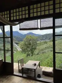 武夷山週末遊|兩日一晚吸氧飲茶計劃🫖