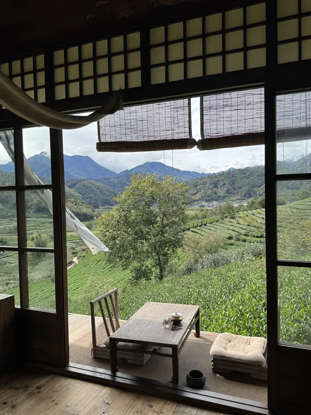 武夷山週末遊|兩日一晚吸氧飲茶計劃🫖 武夷山週末遊|兩日一晚吸氧飲茶計劃🫖