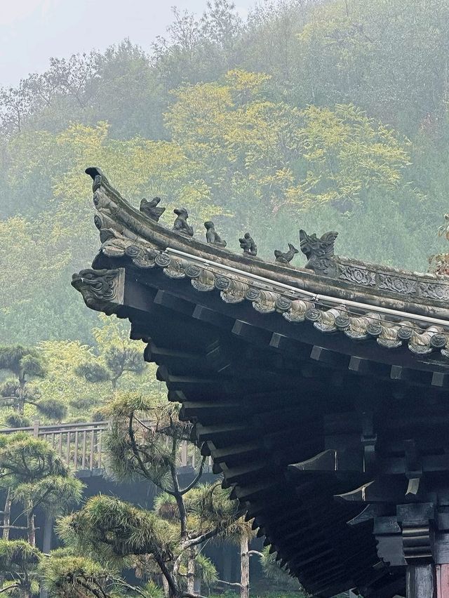 陝西！西安千年古寺銀杏絕美