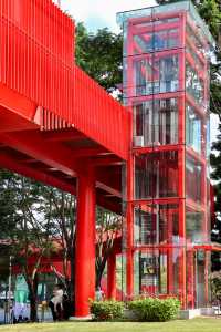 深圳虹橋公園遊玩全攻略!