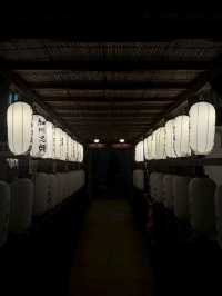 Kagoshima: Where Volcanoes, Hot Springs & Flavor Ignite 🌋