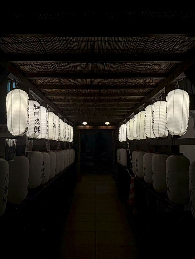 Kagoshima: Where Volcanoes, Hot Springs & Flavor Ignite 🌋 Kagoshima: Where Volcanoes, Hot Springs & Flavor Ignite 🌋