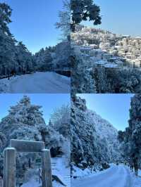 南方人狂喜闖進廬山冰雪世界