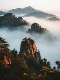 長沙周邊秋季親子遊宜春明月山！避坑攻略+遛娃指南