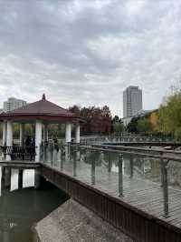 我打卡了新虹橋中心花園