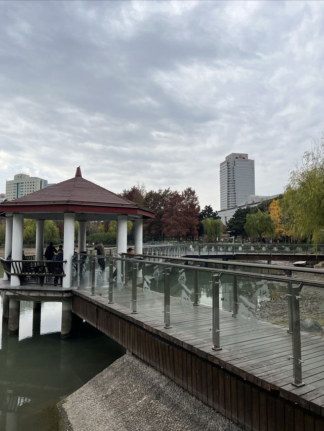 我打卡了新虹橋中心花園