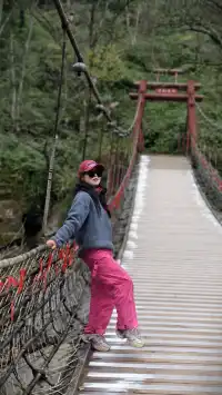 【成都天台山手記|與螢火一起登頂的初夏】