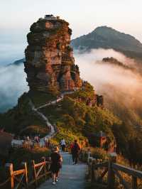 梵淨山親子保姆級攻略！帶娃登頂天空之城，避坑99%