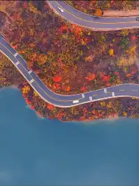 子房湖泛舟!闖入秋日的碧水彩林畫卷