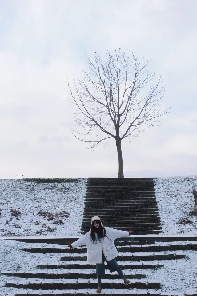 北海道｜美瑛旭川不包車不跟團一日遊