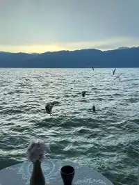 女大勇闖雲南已回！小團體驗後續