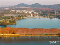 武漢秋天的「金鑰匙」被我找到了！