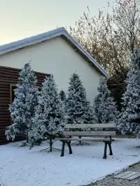 真的不是童話世界！在湖州吳興！5G過聖誕