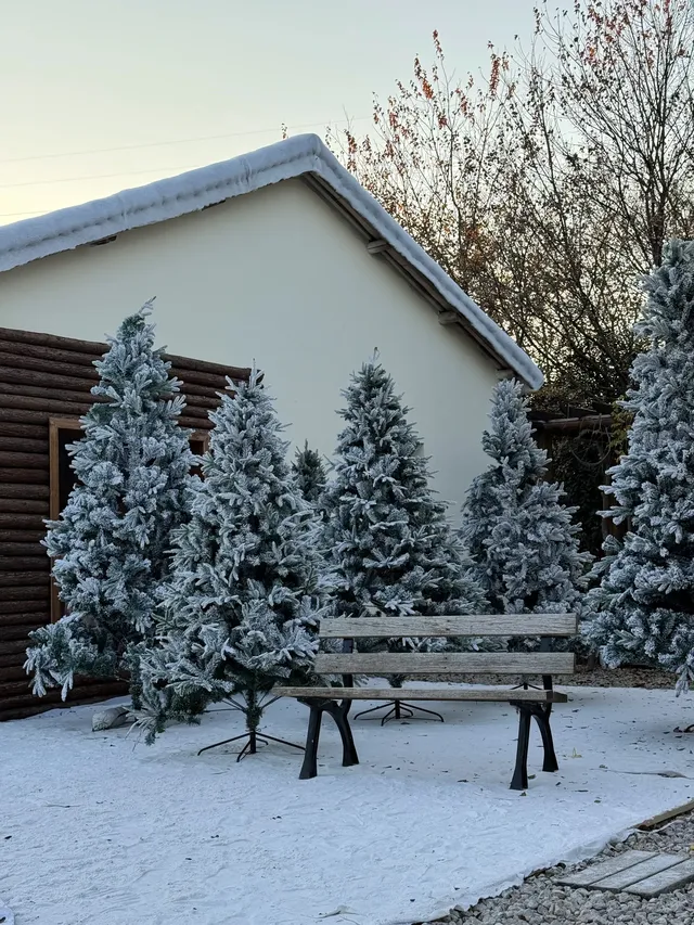 真的不是童話世界！在湖州吳興！5G過聖誕