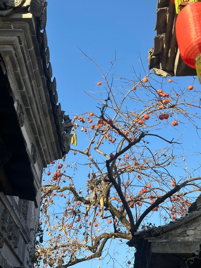 水墨宏村深度遊這份不走回頭路的懶人攻略必須碼住！